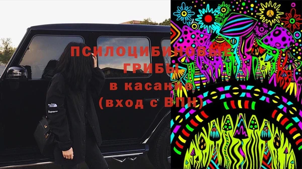стаф Ладушкин