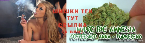 стаф Ладушкин