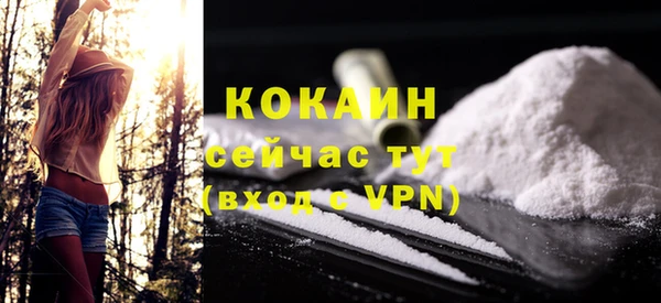стаф Ладушкин