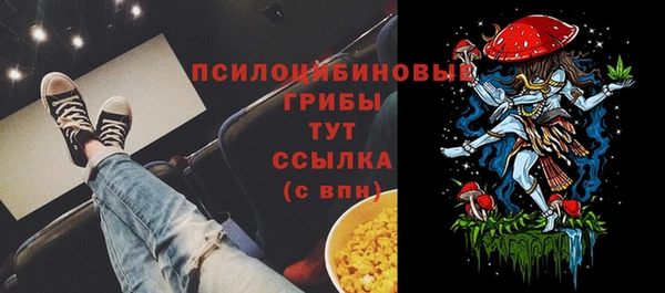 стаф Ладушкин