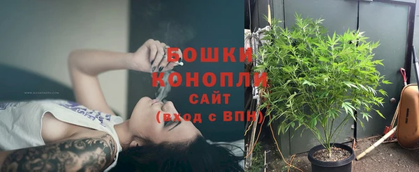 стаф Ладушкин