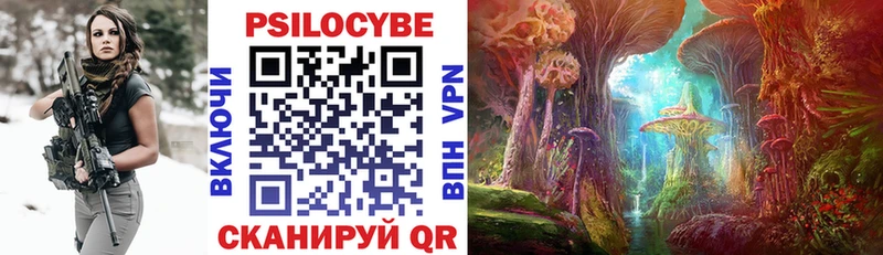 Галлюциногенные грибы Psilocybe  kraken   Чердынь 